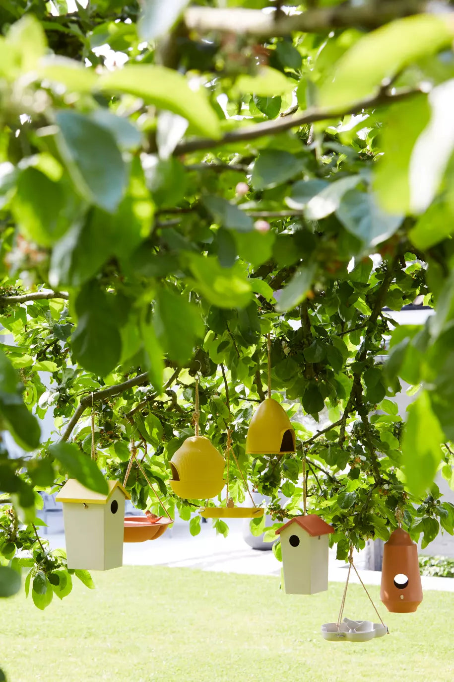 media_ambienceimage_2