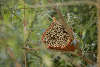 Bee and insect hotel made of bamboo fibre orange 16x15x12cm